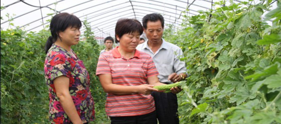 她把最美年華奉獻給了鄉親