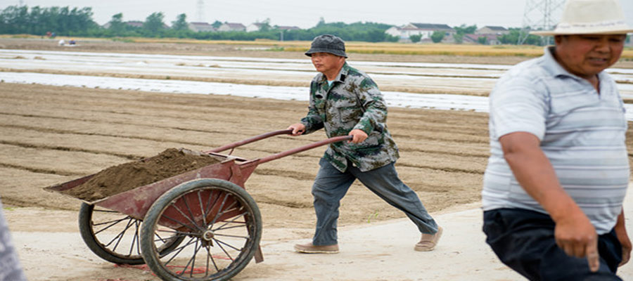 徐勤生帶頭幫助村民修路